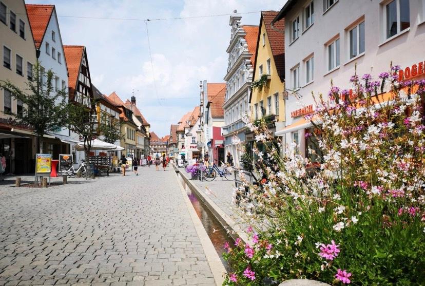 Dachgeschoßwohnung Forchheim - 3 Zimmer, 74 m&sup2;, 1.000&euro; | Angebot:25409055