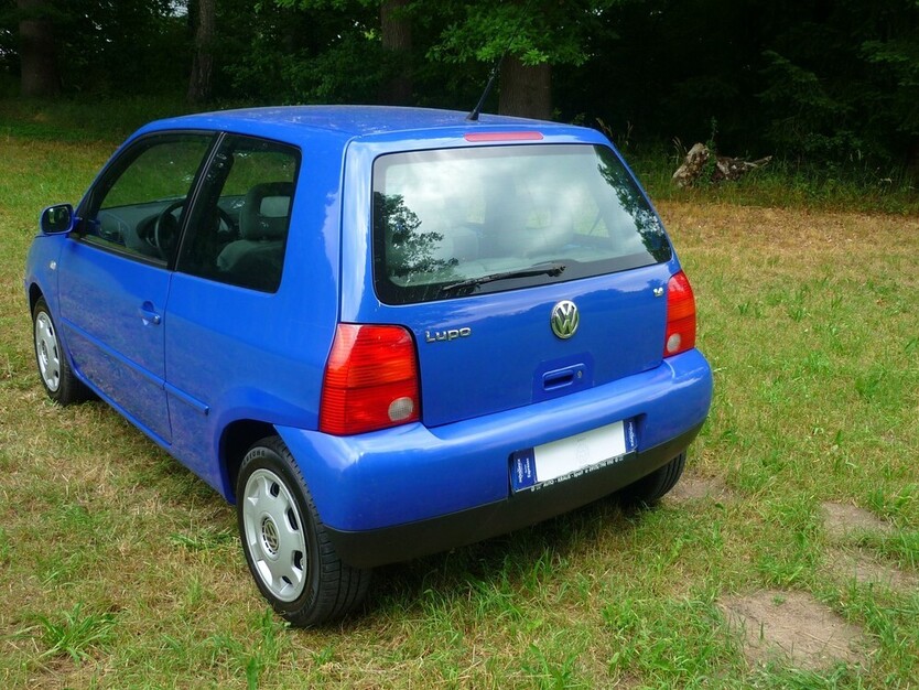 Lupo