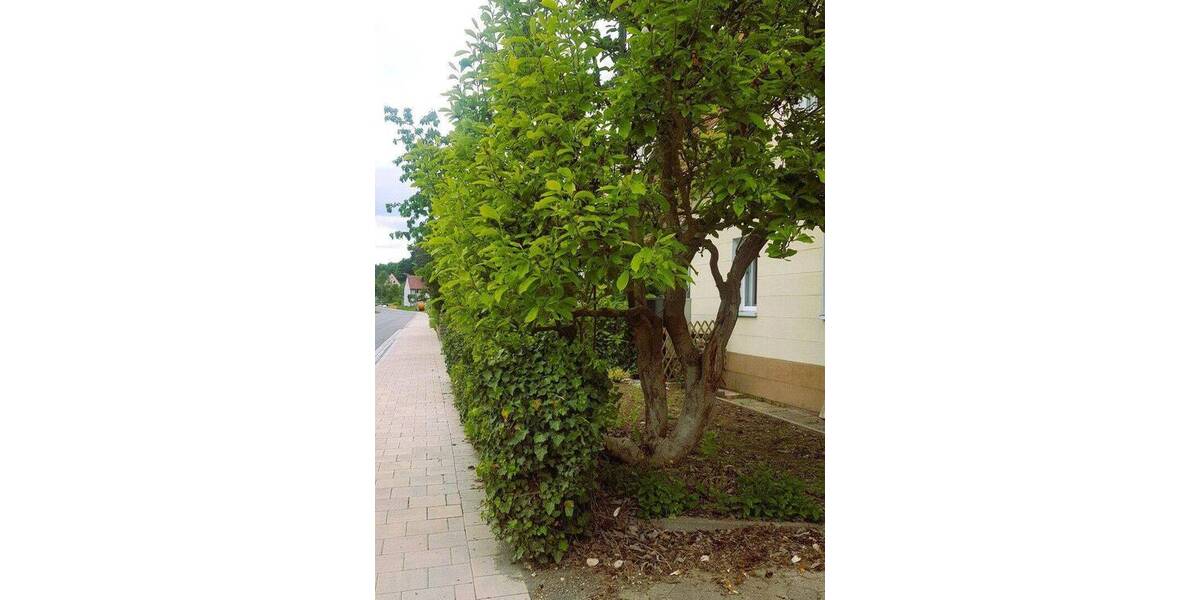 Einfamilienhaus Windsbach Veitsaurach - 5 Zimmer, 91 m&sup2;, 367.000&euro; | Angebot:25755227