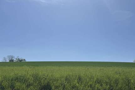 Grundstück zu verkaufen in Herzogenaurach 219.000 € 500 m² zimmer