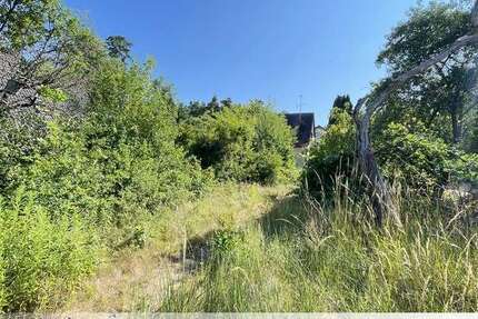 Grundstück zu verkaufen in Lauf 238.000 € 391 m² zimmer