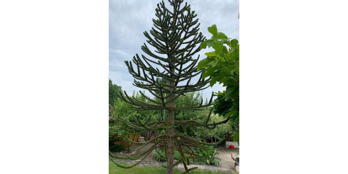 Etagenwohnung Nürnberg Katzwang - 3.5 Zimmer, 95 m&sup2;, 395.000&euro; | Angebot:16554860