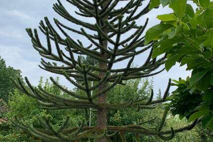 Wohnung Nürnberg Katzwang - 3.5 Zimmer, 95 m&sup2;, 395.000&euro; | Angebot:16554860