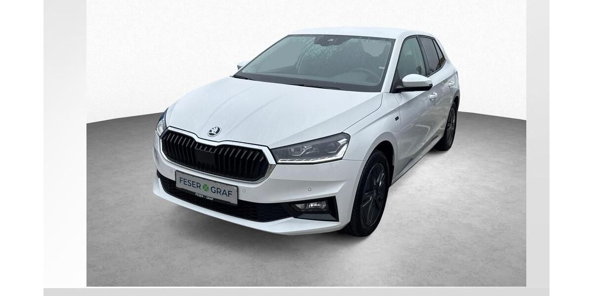 Skoda Fabia 2.900 km 19.480 &euro; Roth 91154