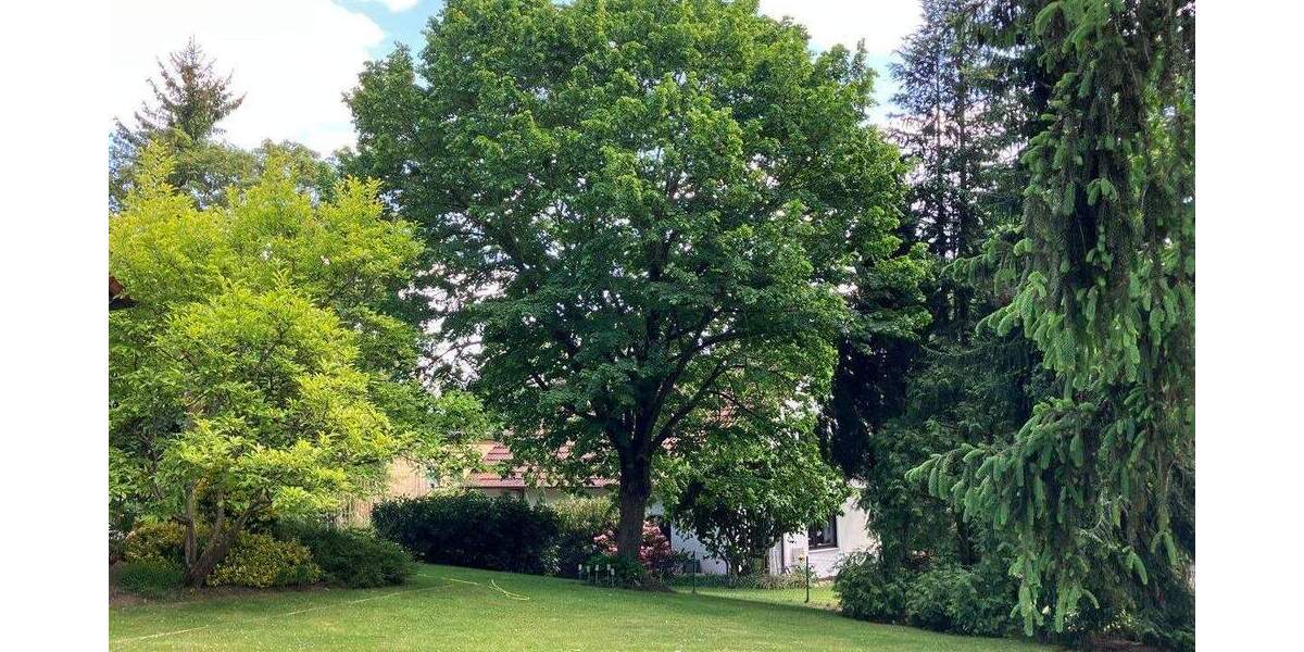 Mehrfamilienhaus, Wohnhaus Büchenbach - 670.000&euro; | Angebot:25667620