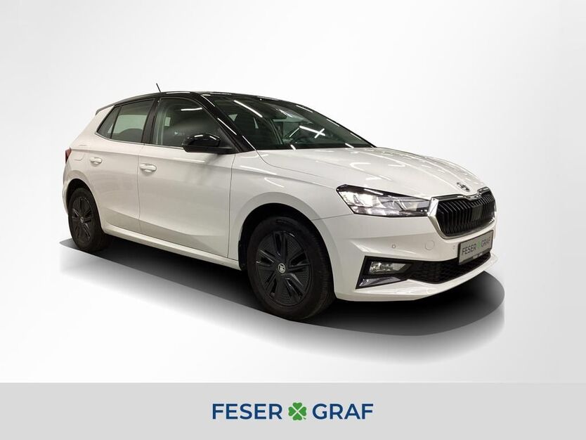 Skoda Fabia 48.800 km 15.980 € Fürth 90763