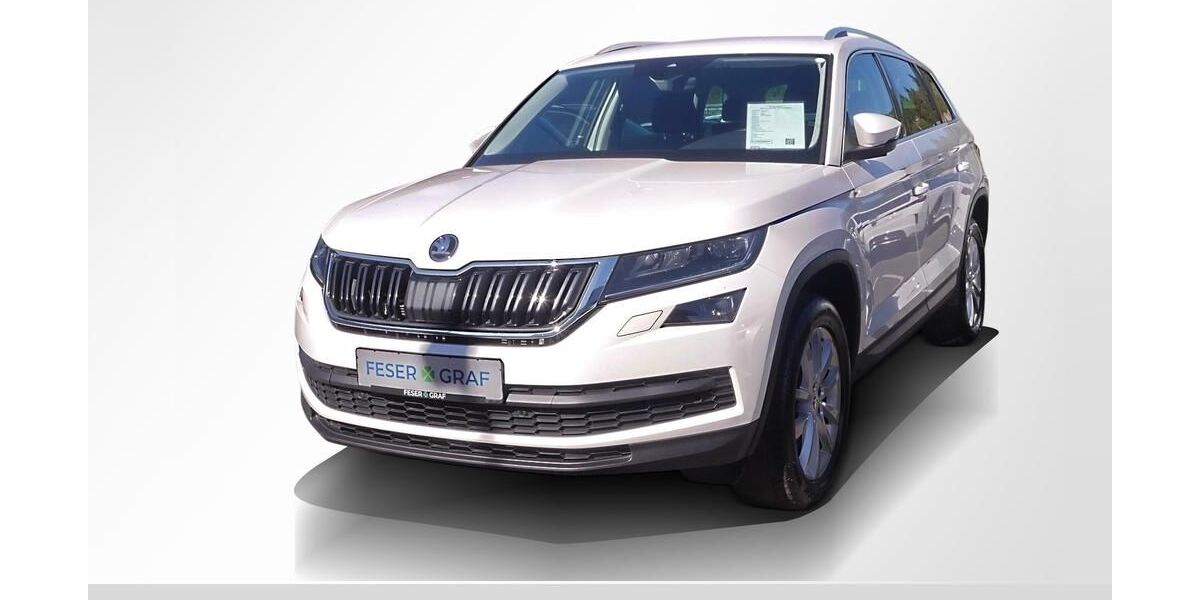 Skoda Kodiaq 122.450 km 25.650 &euro; Lauf an der Pegnitz 91207