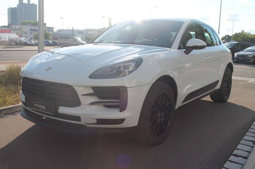 Macan