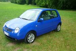 Lupo