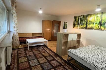 Helle, Möbliert, ruhig, zentral, am Wald, mit 2 Terrassen 2 zimmer