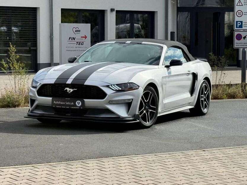 Mustang