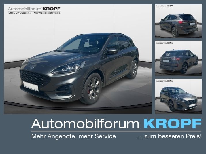 Kuga