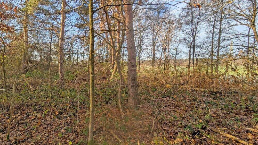 Grundstück Erlangen Erlangen-Süd - 525.000&euro; | Angebot:25140050