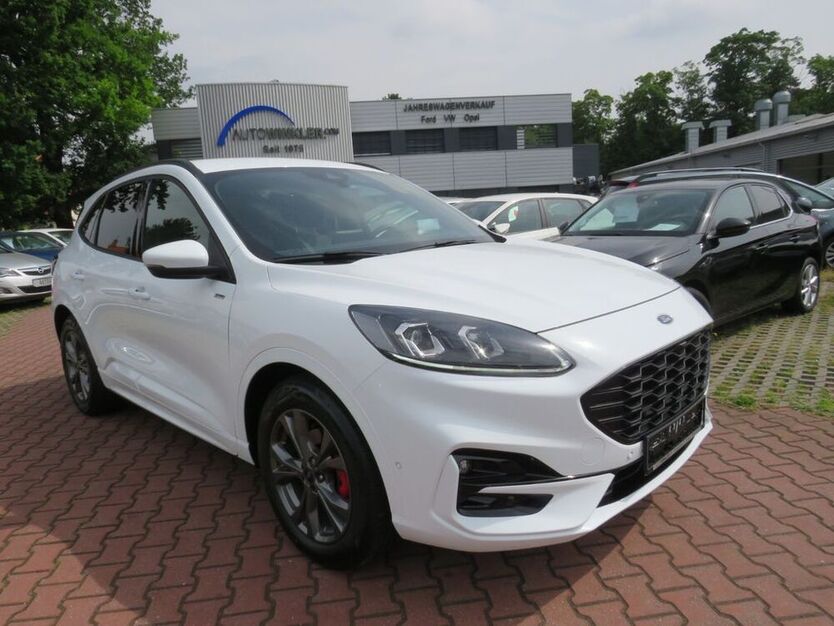 Kuga