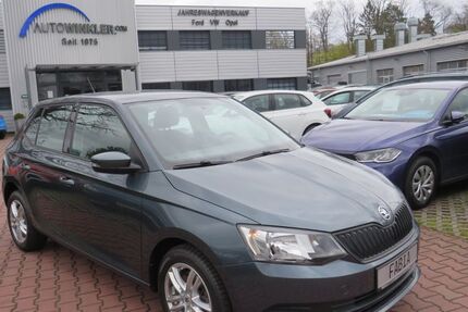Skoda Fabia 65.411 km 7.990 € Nürnberg 90431