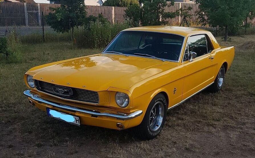 Mustang