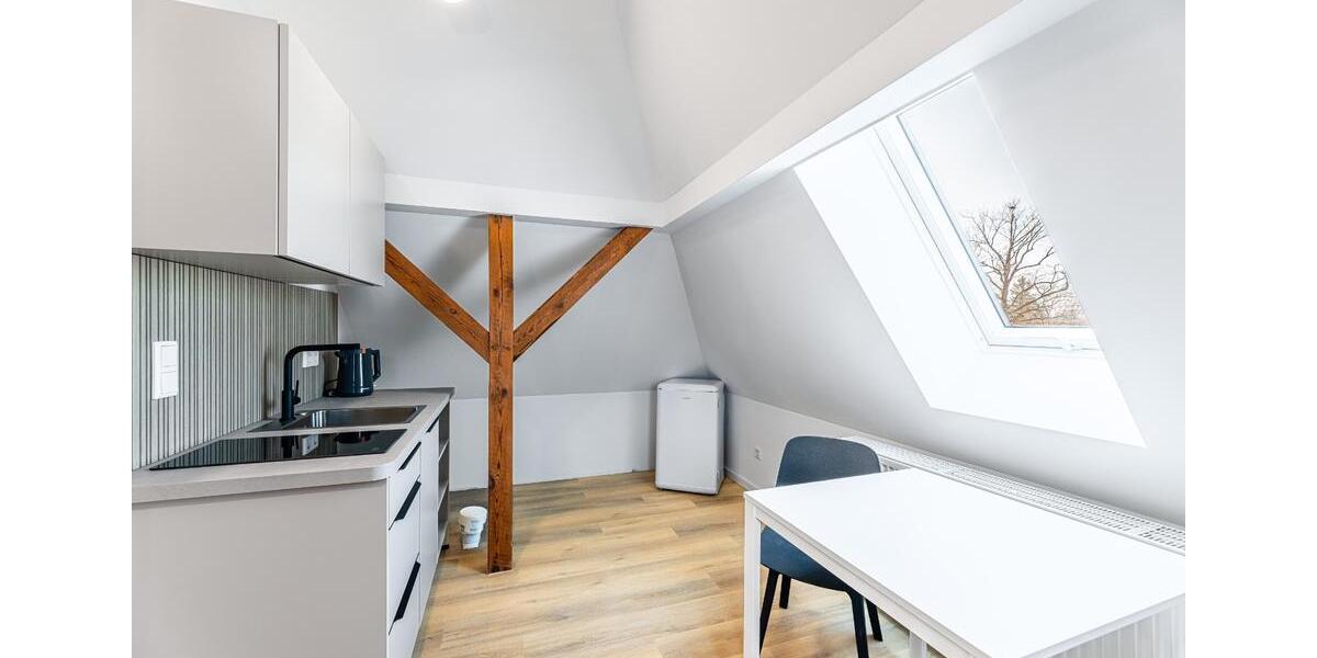 Dachgeschoßwohnung Nürnberg Erlenstegen - 1 Zimmer, 33 m&sup2;, 740&euro; | Angebot:25750344