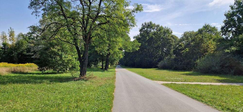 Ruhig und erholsam wohnen in direkter Nähe zum Marienbergpark
