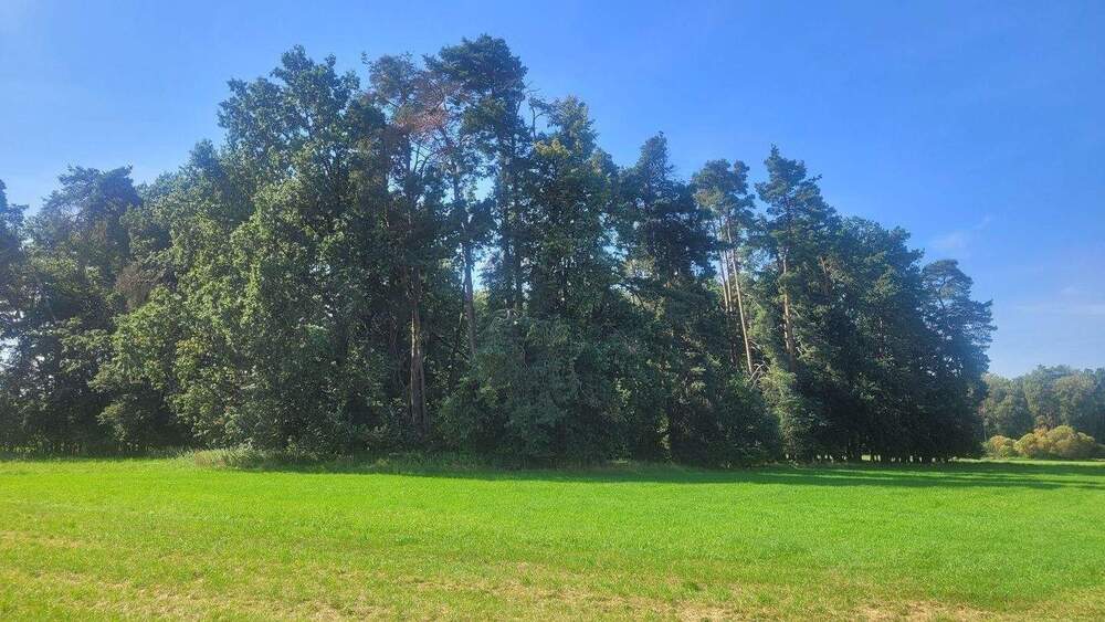 Grundstück Büchenbach Aurau - 69.000&euro; | Angebot:24211400