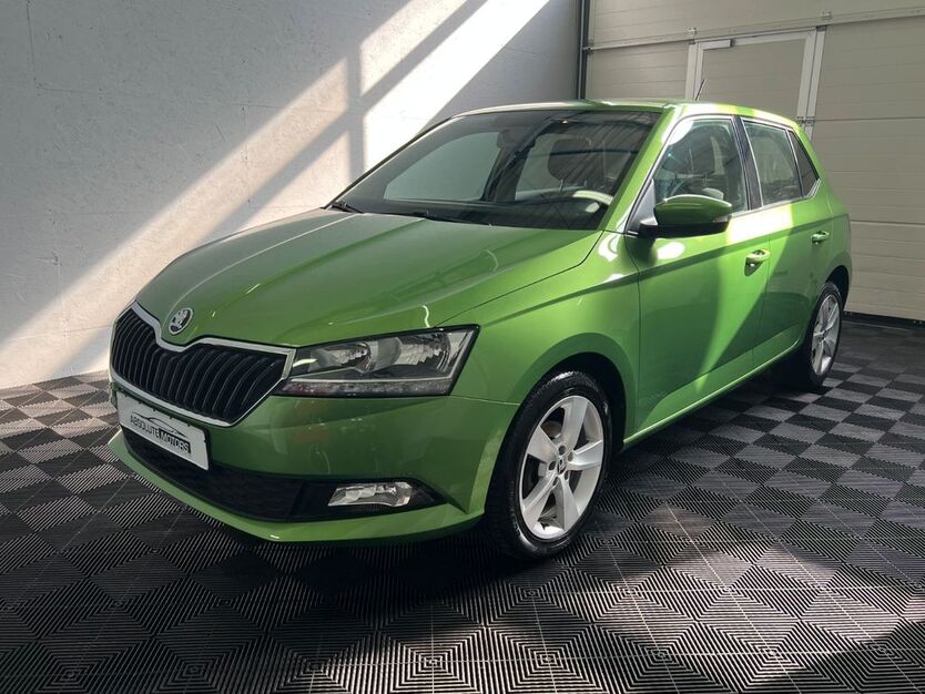 Skoda Fabia 109.980 km 8.970 € Schwabach/Wolkersdorf 91126