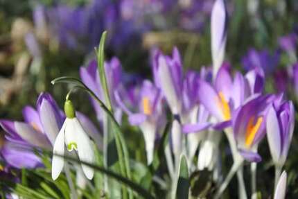 Haus Cadolzburg - 8 Zimmer, 250 m&sup2;, 583.000&euro; | Angebot:26034005