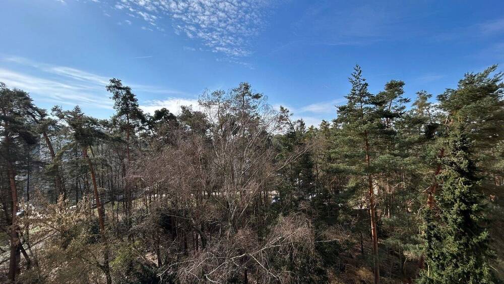 Etagenwohnung Erlangen Büchenbach - 3 Zimmer, 67 m&sup2;, 180.000&euro; | Angebot:26486400