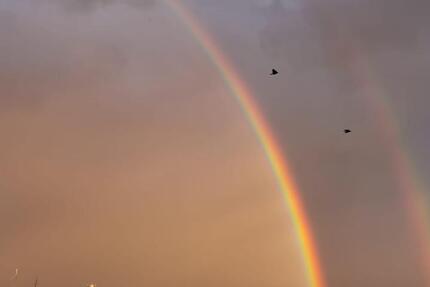 Wohnung Nürnberg - 2 Zimmer, 74 m&sup2;, 320.000&euro; | Angebot:25824702