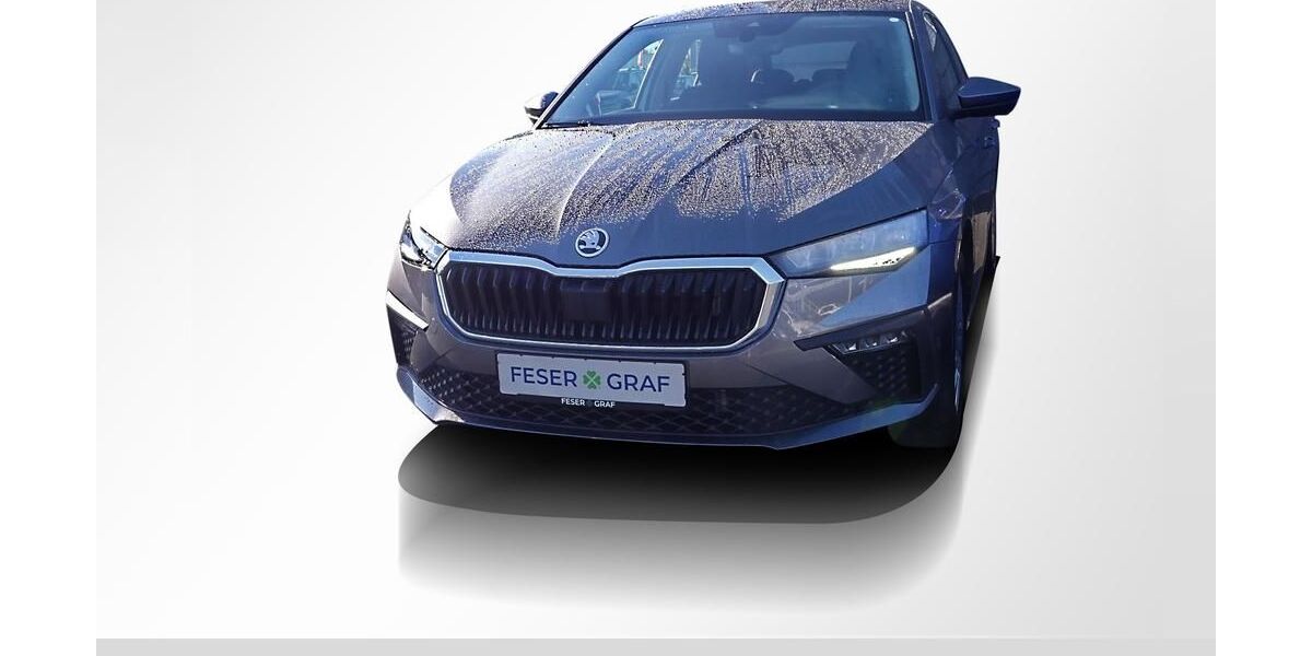Skoda Scala 26.150 km 18.940 &euro; Erlangen 91058