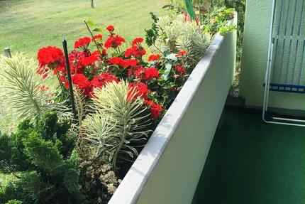 Wohnung Nürnberg Schnepfenreuth - 3 Zimmer, 93 m&sup2;, 369.000&euro; | Angebot:25987653