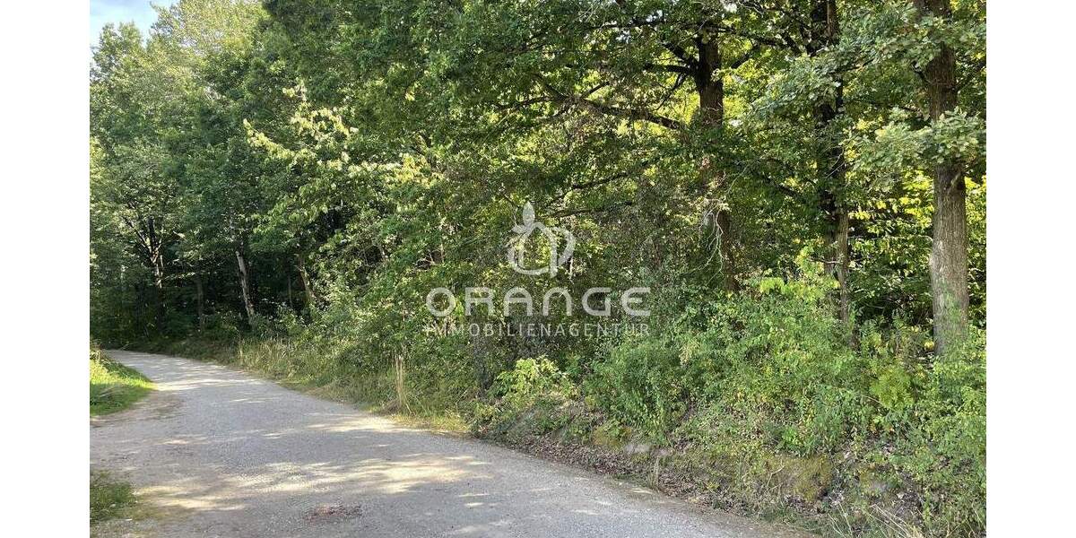 Etagenwohnung Hemhofen - 1 Zimmer, 42 m&sup2;, 129.000&euro; | Angebot:24435595