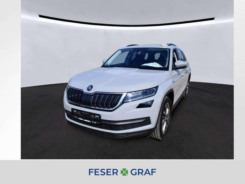 Skoda Kodiaq 54.449 km 25.480 € Cadolzburg 90556