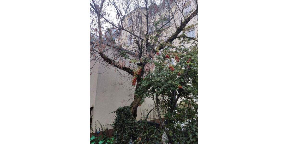 Gepflegte, gut geschnittene 2-Zimmer-Wohnung nähe Stadtpark 2 zimmer