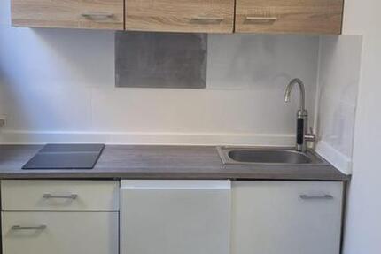 One Room Appartment with Toilette, Shower, Kitchen etc inside 1 zimmer