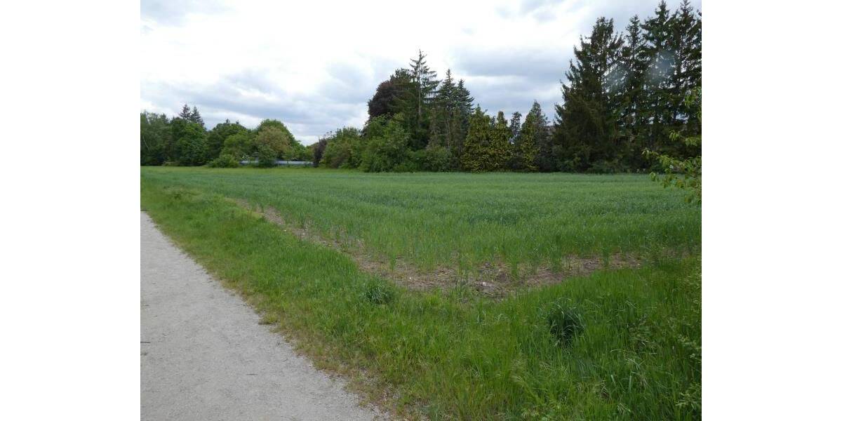 Grundstück Nürnberg Kornburg - 580.000&euro; | Angebot:26787176