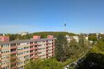Etagenwohnung Nürnberg Gebersdorf - 1 Zimmer, 36 m&sup2;, 680&euro; | Angebot:26416486
