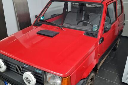 Fiat Panda 103.767 km 4.500 &euro; Rohr 91189
