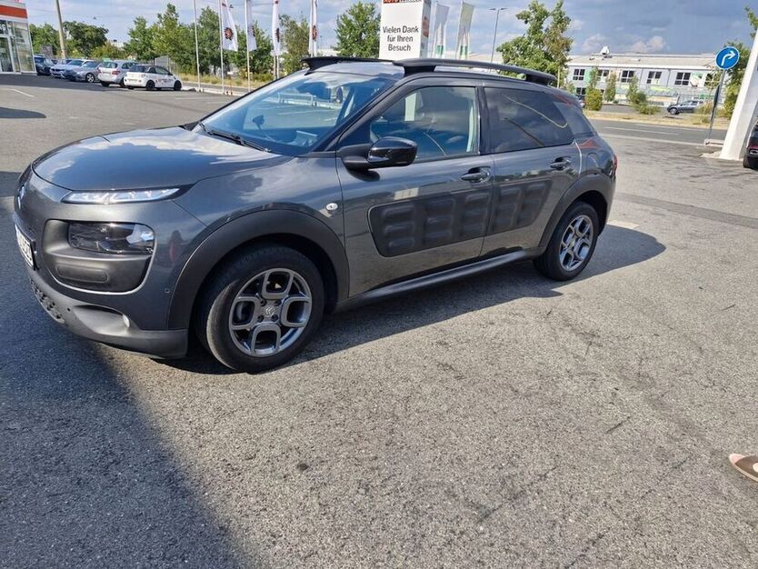 C4 Cactus