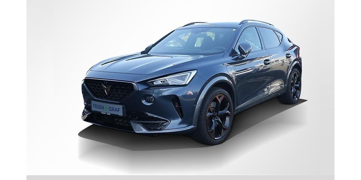 Cupra Formentor 53.350 km 26.750 &euro; Lauf an der Pegnitz 91207