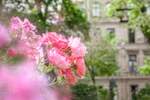 Gewerbeobjekt Fürth Innenstadt - 665&euro; | Angebot:25875490