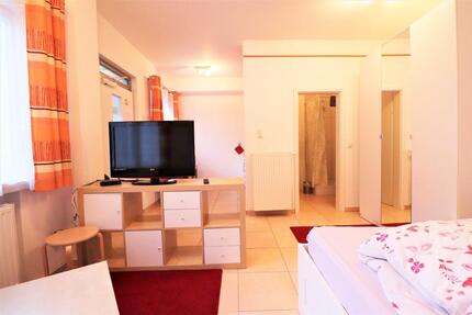 komfortable 1-Zi Wohnung in Bestlage zimmer