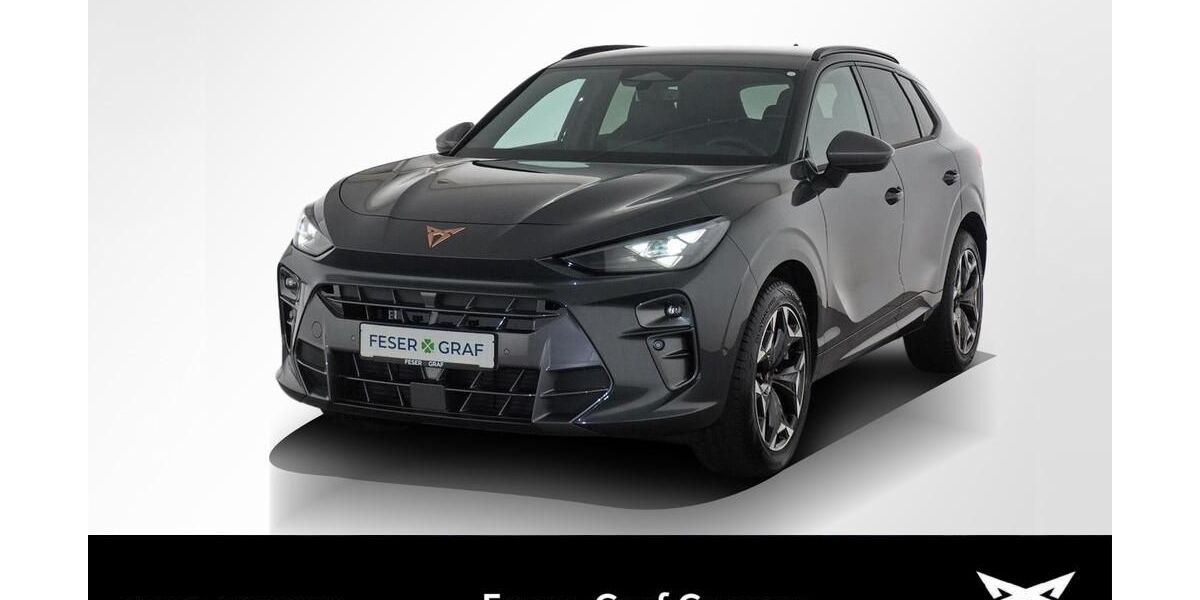 Cupra Terramar 1.950 km 39.940 &euro; Nürnberg 90441