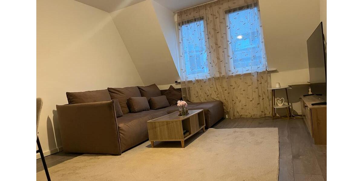 Dachgeschoßwohnung Nürnberg Kleinweidenmühle - 2 Zimmer, 55 m&sup2;, 700&euro; | Angebot:25419270