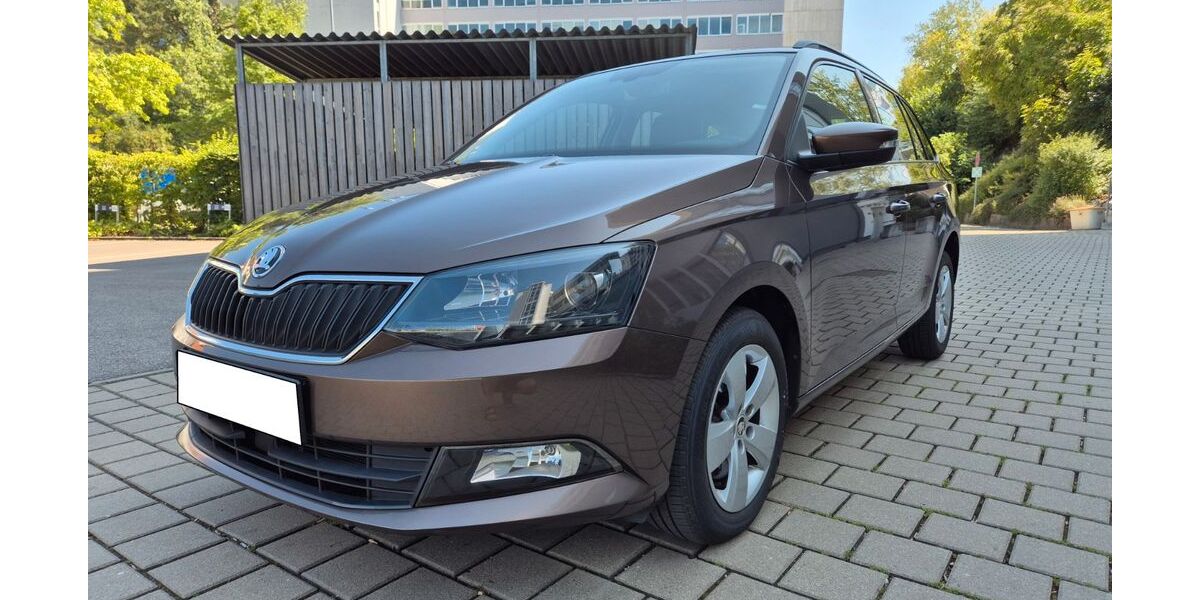Skoda Fabia 66.553 km 11.890 &euro; Nürnberg 90461