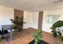 Zentrale Einzelbüros in Fürth – möbliert, all-inclusive, ab 400 €