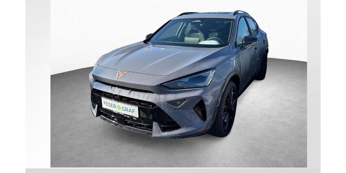 Cupra Formentor 2.600 km 54.950 &euro; Schwabach 91126