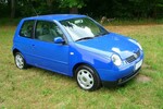 Lupo