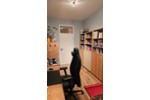 Etagenwohnung Fürth Südstadt - 4 Zimmer, 114 m&sup2;, 490.000&euro; | Angebot:27222423