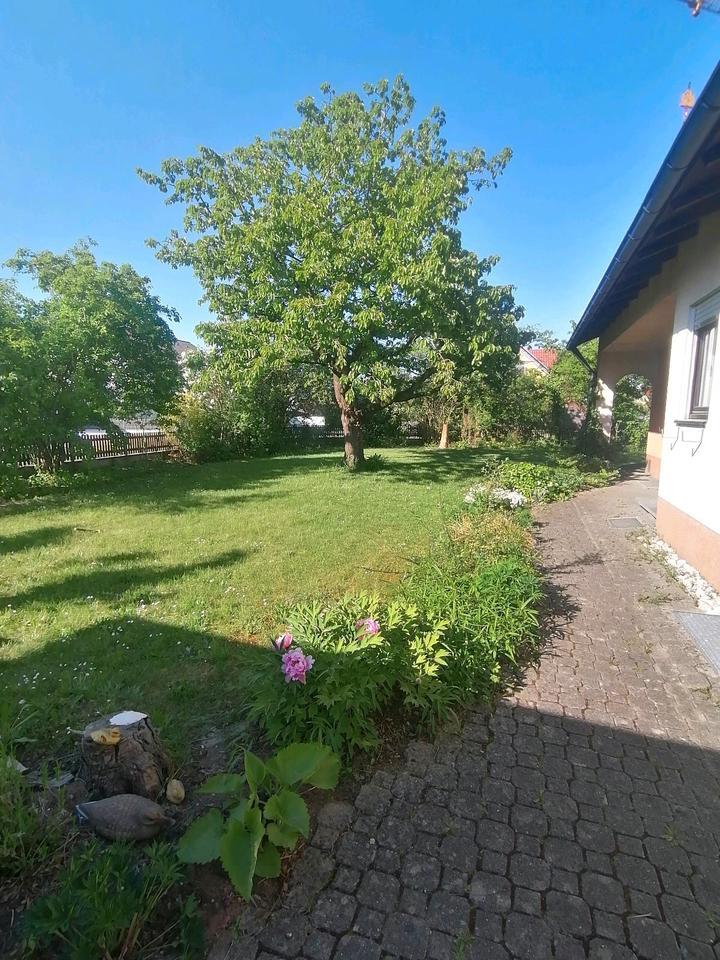 Tolles Haus mit grossen Hobbykeller und schönen Garten