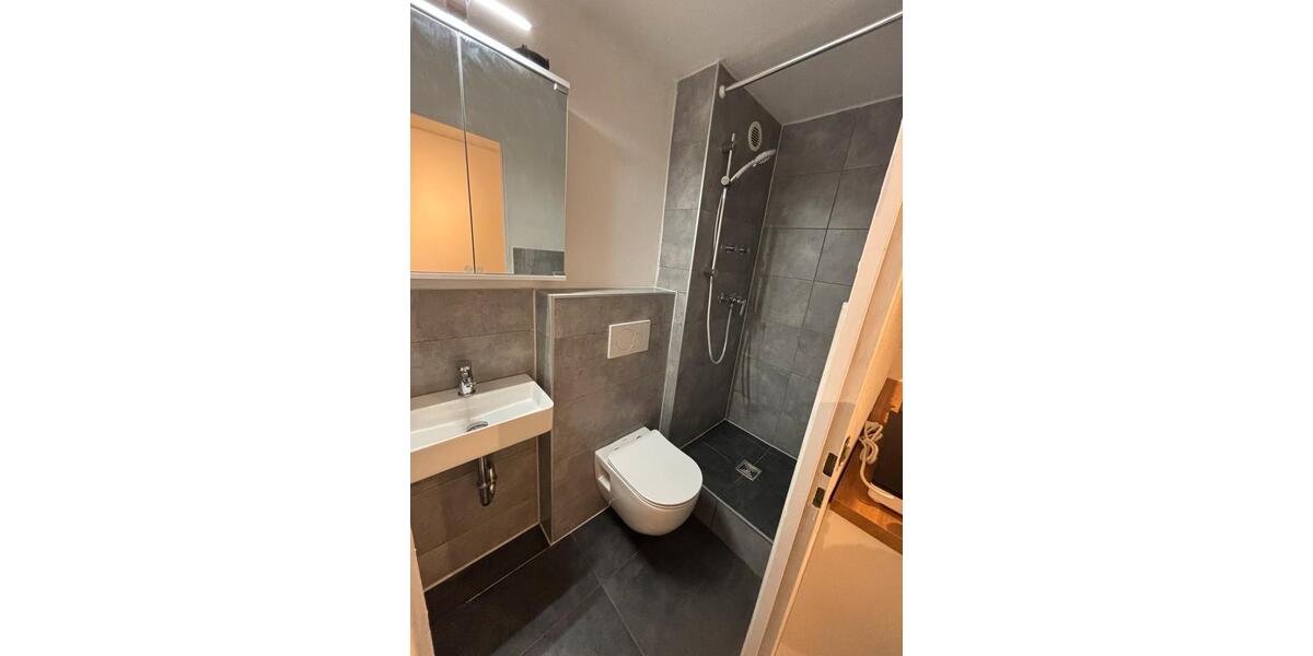 Etagenwohnung Buckenhof - 1 Zimmer, 17 m&sup2;, 520&euro; | Angebot:26251060