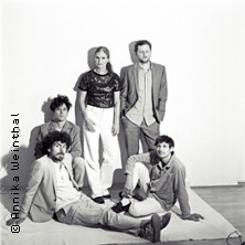 Dota - Springbrunnen - Tour 2026 18.11.2025 E-WERK ERLANGEN